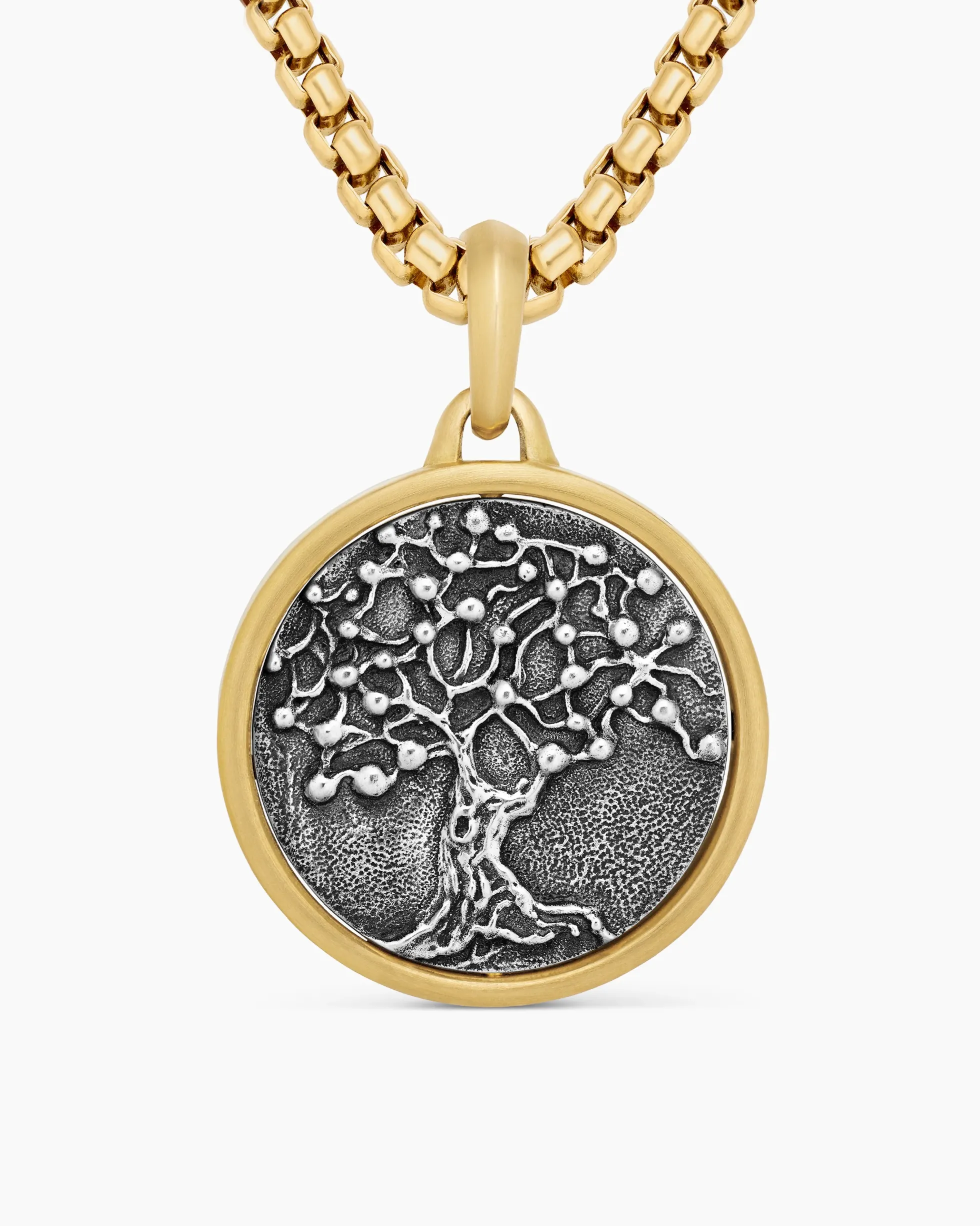 Life and Death Duality Amulet Sterling Silver with 18K Yellow Gold, 24mm