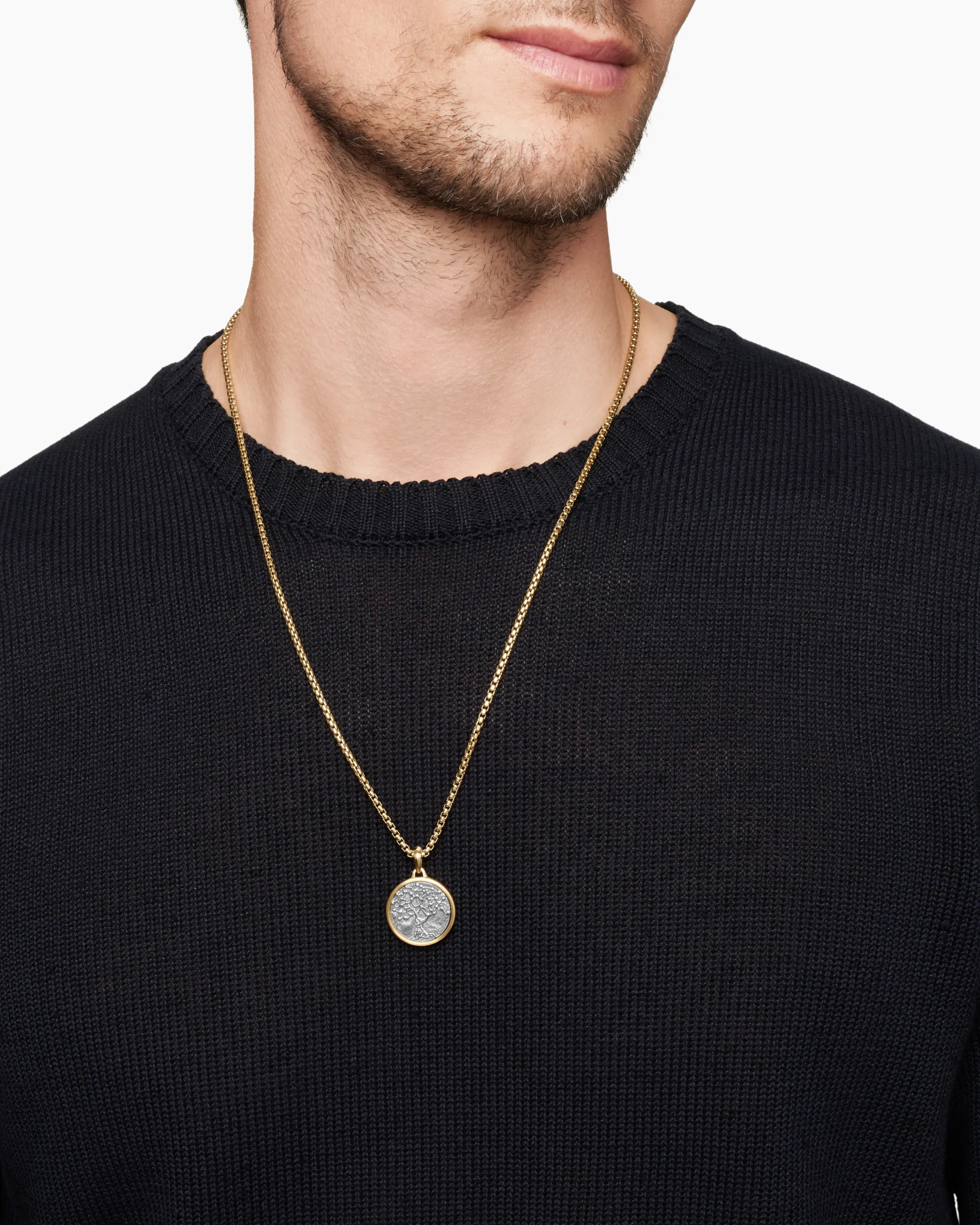 Life and Death Duality Amulet Sterling Silver with 18K Yellow Gold, 24mm