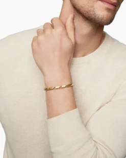Streamline® Link Bracelet 18K Yellow Gold, 6mm